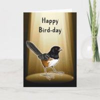 Bird in Spotlight, Happy Bird Day, Pun, Birthday