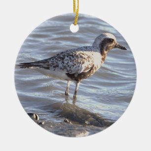 Bird in the Ocean Ornament