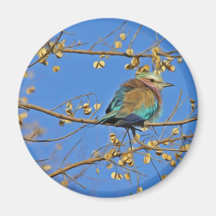 Bird in Tree Photo Magnet