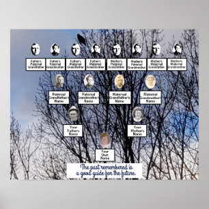 Bird in Winter Tree Photo Family Tree Poster