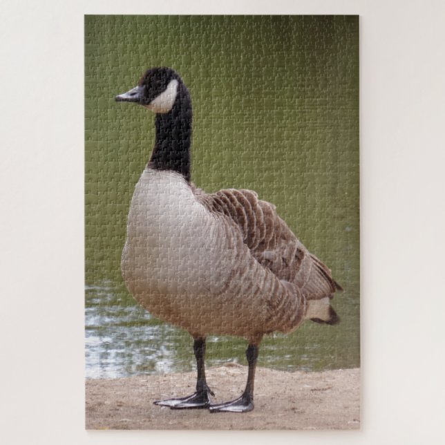 Bird Jigsaw Puzzle (Vertical)