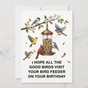 Bird Lover Card Funny Bird Feeder Birthday Card
