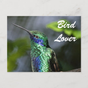 Bird Lover Postcard