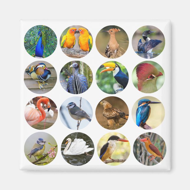 Bird Lover Refrigerator Magnet (Front)