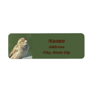 Bird Lover Small Brown Feather Wild Sparrow Return Address Label