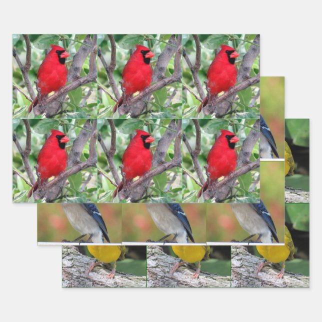 Bird Lover's - 3 Design - All Occasion Wrapping Paper Sheet (Set)