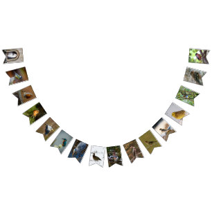 Bird Lovers Bunting Bunting