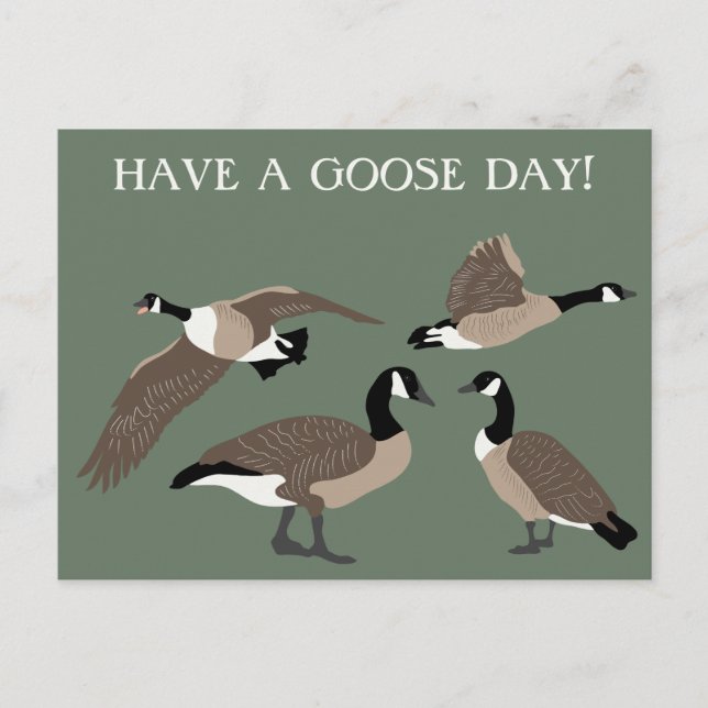 Bird Lovers Canada Geese Illustration Custom Postcard (Front)