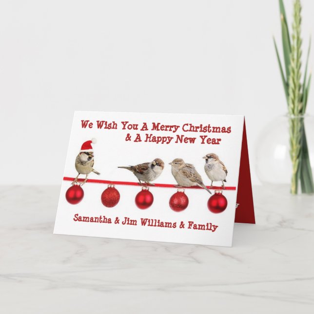 Bird Lovers, Cute Merry Christmas Card (Front)