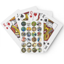 Bird Lover's Playing Cards