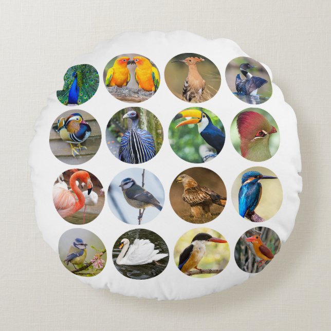 Bird Lovers Round Pillow (Front)