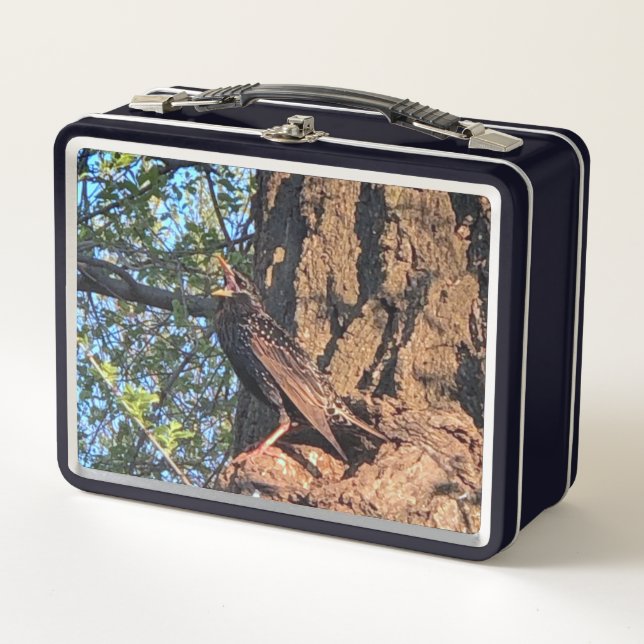 Bird Lunch Box (Front)