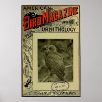 Bird Magazine jun 8 1903