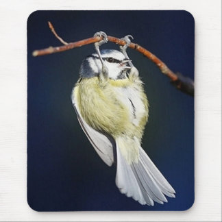 Bird Mouse Pad