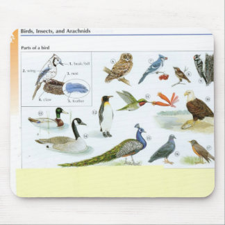 Bird Mouse pad 24
