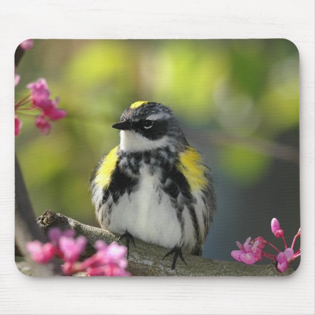 Bird Mouse pad 6 (Front)