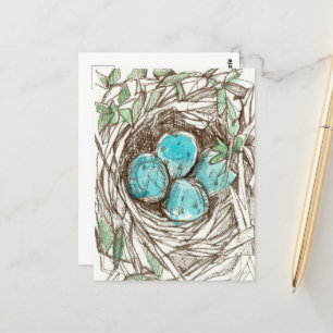 Bird Nest Blue Robin Eggs Spring Ink Drawing Postcard