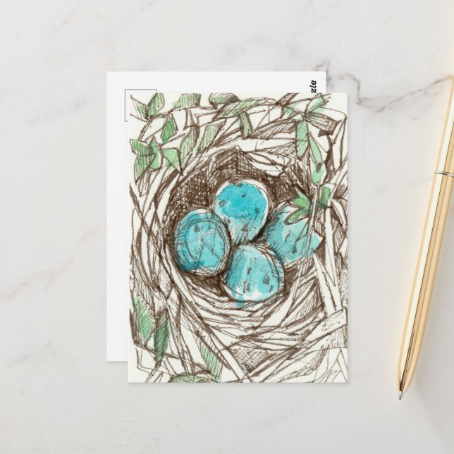 Bird Nest Blue Robin Eggs Spring Ink Drawing Postcard (Front/Back In Situ)