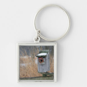 Bird, nest box with holiday wreath in winter key ring