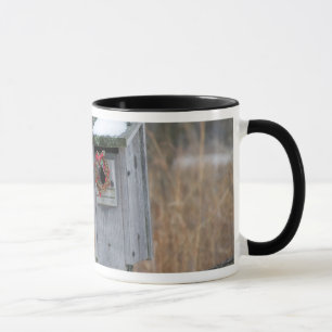 Bird, nest box with holiday wreath in winter mug