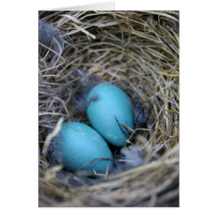 Bird Nest Card