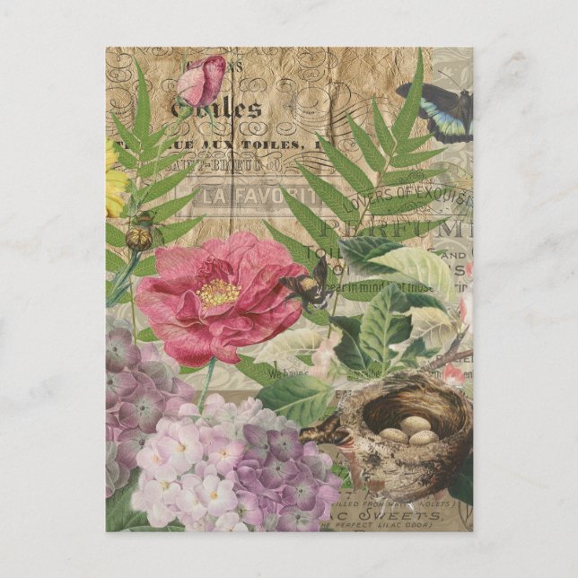 Bird Nest Floral Garden Flower Butterfly Art Postcard (Front)