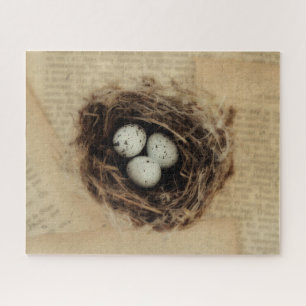 Bird Nest Old Vintage Antique Retro Brown Eggs Jigsaw Puzzle