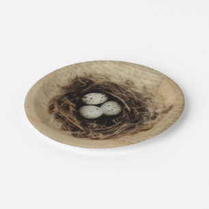 Bird Nest Old Vintage Antique Retro Brown Eggs Paper Plate
