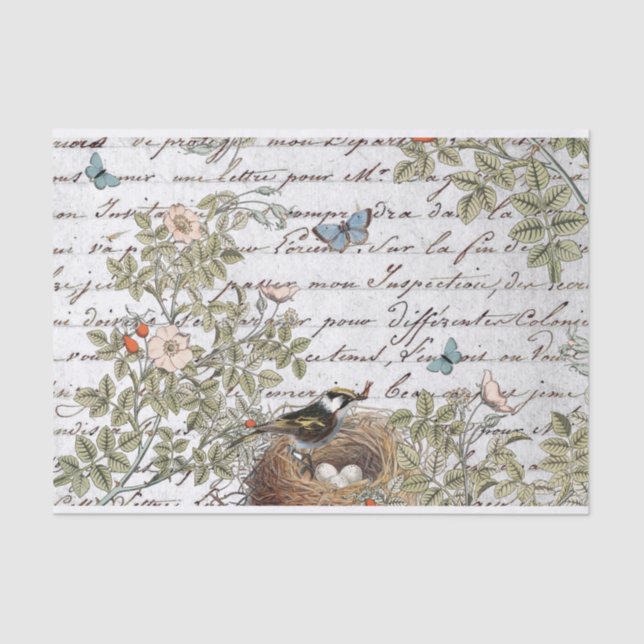 Bird Nest Pink Rose Butterfly Gold French Script Tissue Paper (Front)