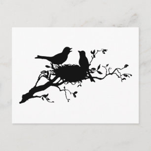 Bird Nest Postcard