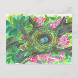 Bird Nest Robin Eggs Pink Flower Tree Postcard