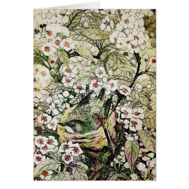 BIRD NEST,TREE WITH BROWN WHITE SPRING FLOWERS (Front)