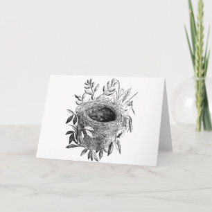 bird nest vintage illustration holiday card