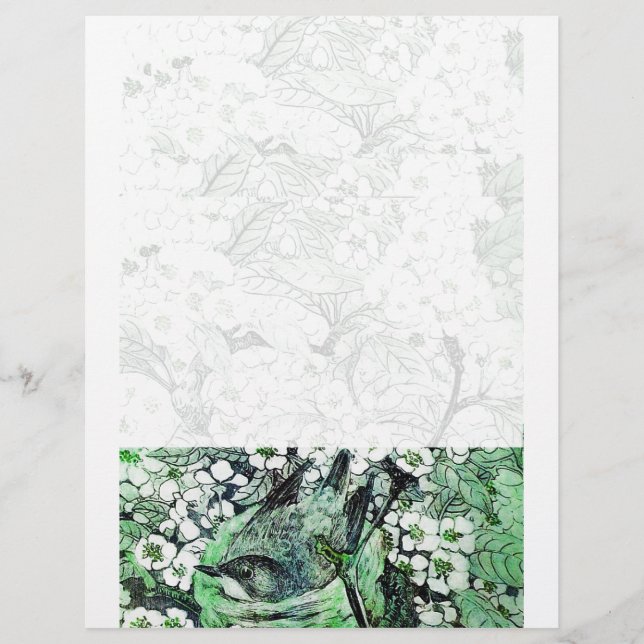 BIRD NEST ,white green (Front)