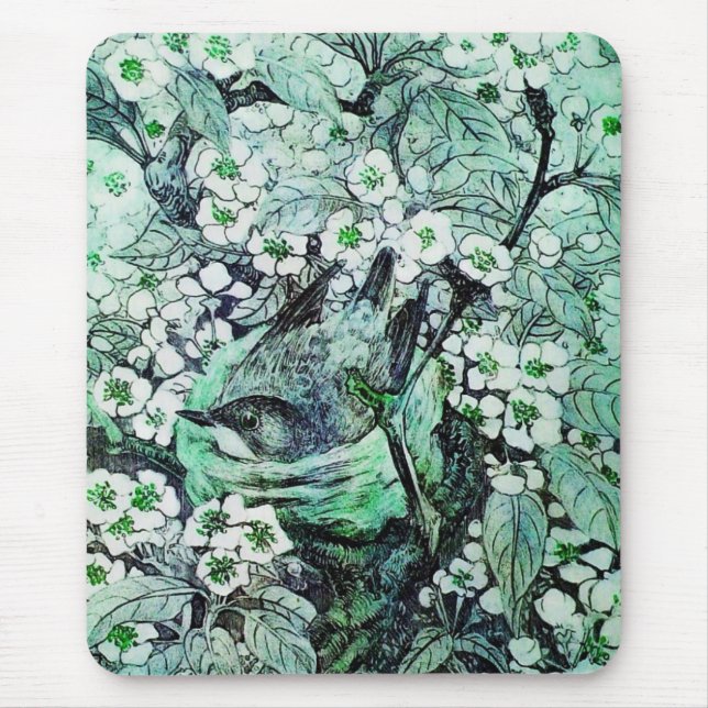 BIRD NEST ,white green Mouse Pad (Front)