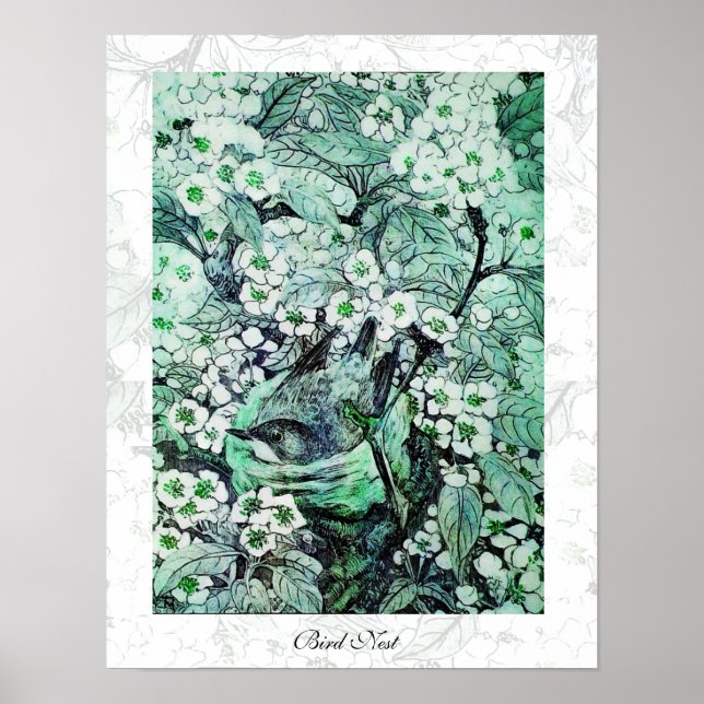 BIRD NEST ,white green Poster (Front)