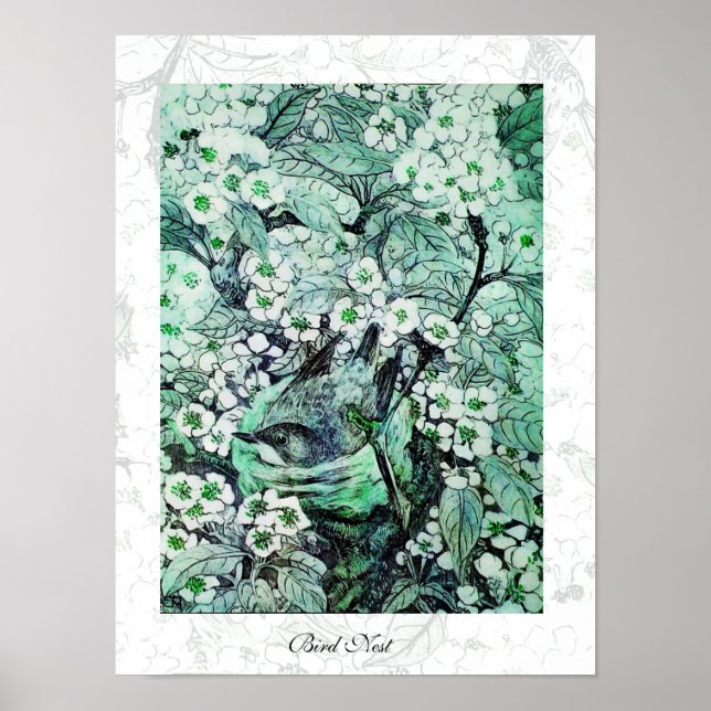 BIRD NEST ,white green Poster (Front)