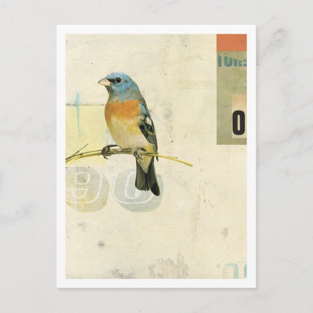 Bird No.1 Postcard (Front)