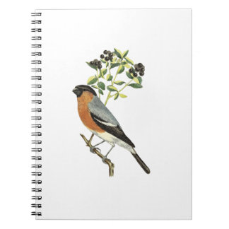 Bird Notebook