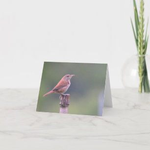 Bird Notecard