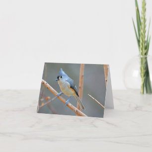 Bird Notecard