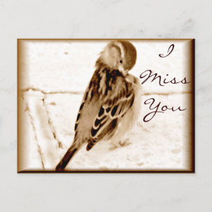 Bird of love_ postcard