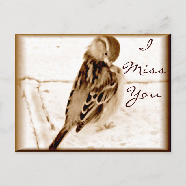 Bird of love_ postcard (Front)