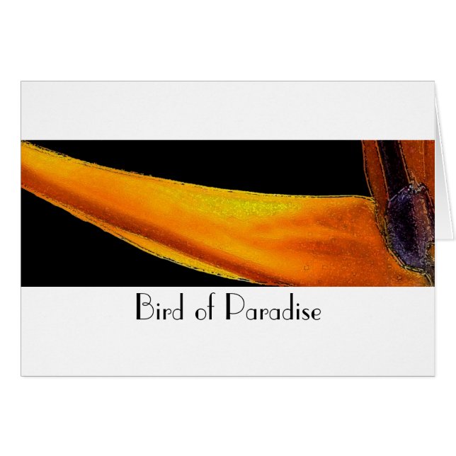 Bird of Paradise (Front Horizontal)