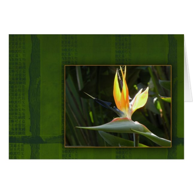 Bird of Paradise (Front Horizontal)