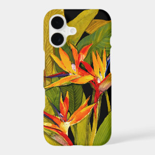 Bird of Paradise