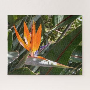 Bird of Paradise #1 Jigsaw Puzzle