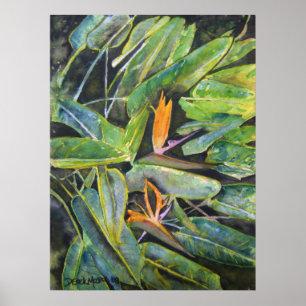 bird_of_paradise_2 poster