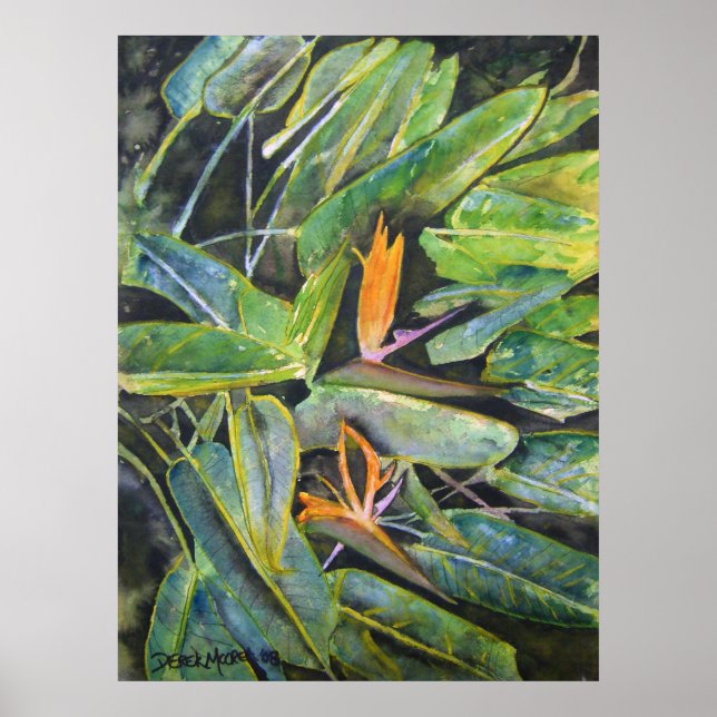 bird_of_paradise_2 poster (Front)