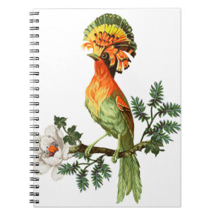 Bird of Paradise and exotic flowers on a white bac Notebook